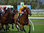 VIDEO: Neil Simpson impresses at Barum Czech Rally Zlín